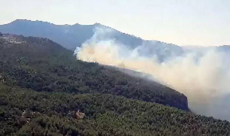Muğla'da orman yangını (27 Temmuz 2024)