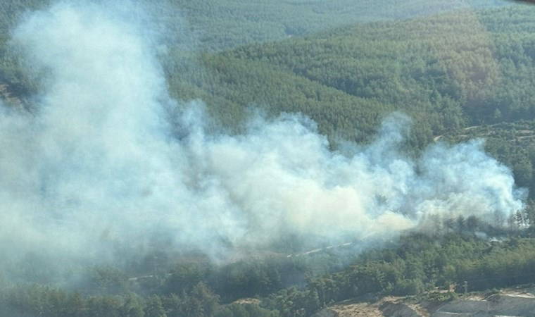 Muğla'da orman yangını! (29 Temmuz 2024)