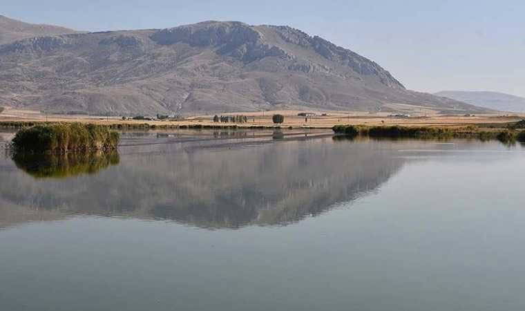 Sivas Ulaş Gölü'nde su seviyesi azaldı; 'Doğal habitat bozuluyor' uyarısı