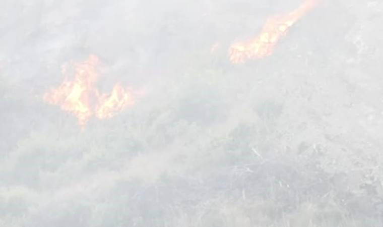 Bornova'da başlayan yangın Manisa’ya ilerliyor: Bornova'da başlayan yangın Manisa’ya ilerliyor