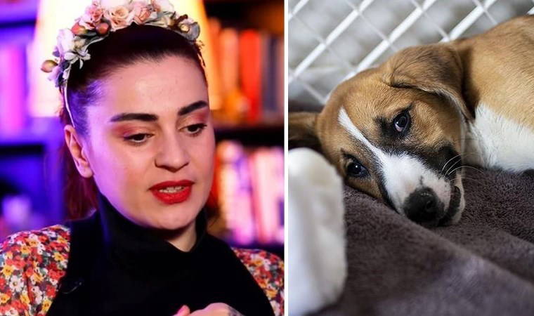 Ceylan Ertem'den Meclis'ten geçen 'katliam yasası'na sert tepki: 'Ölü bedenimi çiğnemeleri lâzım...'