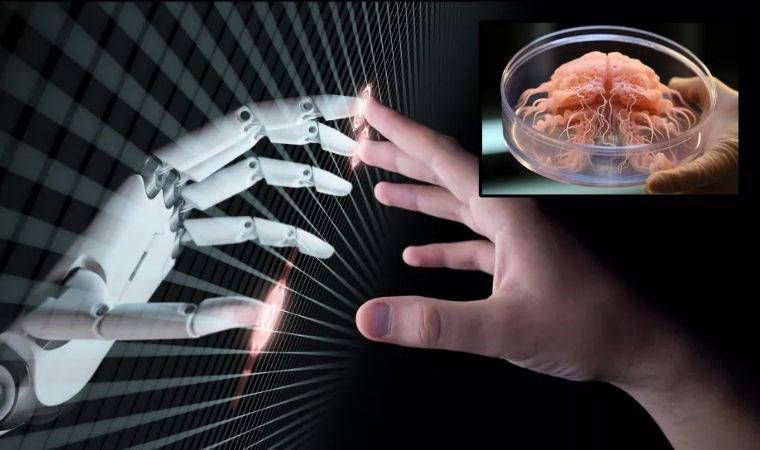 İnsan beynine sahip dünyanın ilk robotu için önemli adım