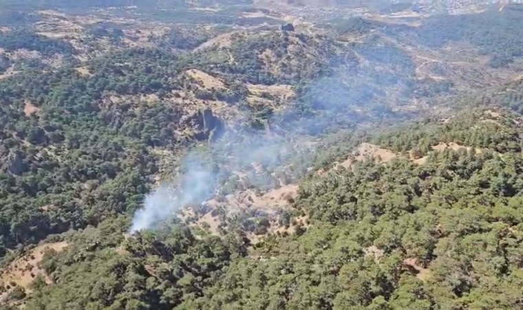 İzmir'de orman yangını: 3 saatte kontrol altına alındı