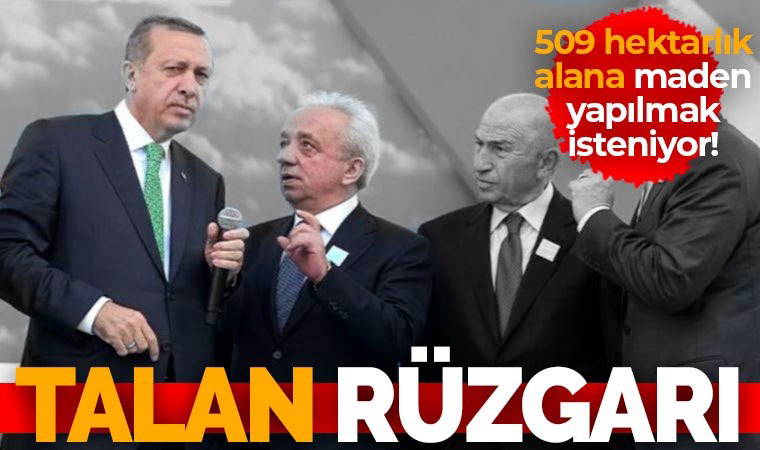 AKP’ye yakın Cengiz, orman arazisinden oluşan 509 hektarlık alanda maden peşinde