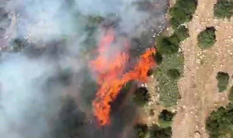 Manisa'da orman yangını! (08 Temmuz 2024)