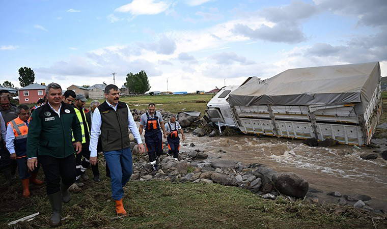 Erzurum’da sel: 4 ev ve 4 ahır zarar gördü, 19 hayvan öldü