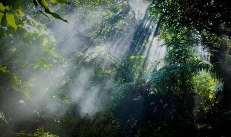 Medeniyetlerin tarihi değişiyor: Tarihin bilinmeyen yüzü ortaya çıktı