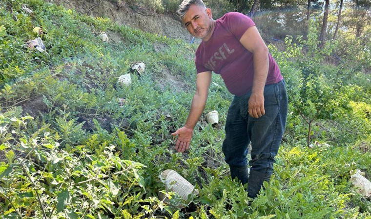 Hataylı çiftçi mahsulünün yanmaması için ilginç bir çözüm buldu