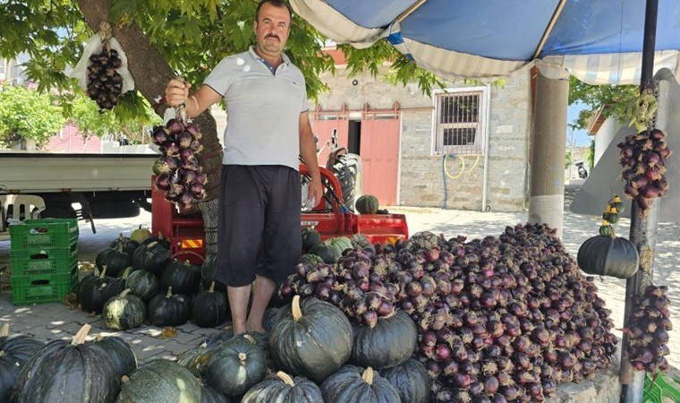 Kapıdağ'ın tescilli lezzeti tezgâha indi: Kilosu 130 TL...