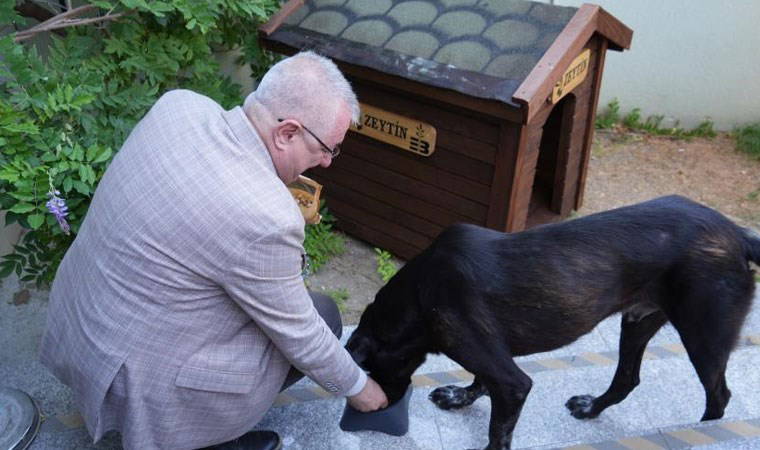 Edremit Belediye Başkanı köpek sahiplendi