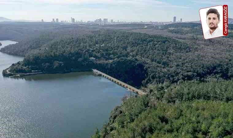 Bazı bölgeler orman sınırı dışına çıkarıldı