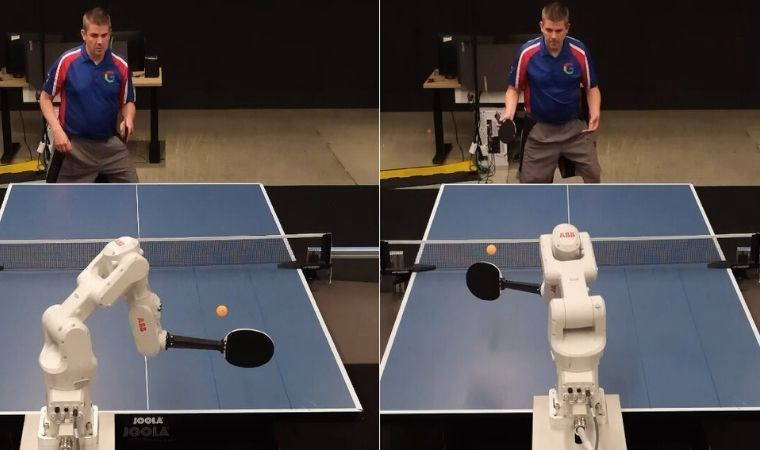 Hangi seviyede oynuyor?