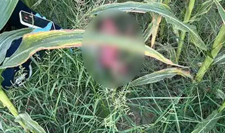 Tarlada bebek bulunmuştu...