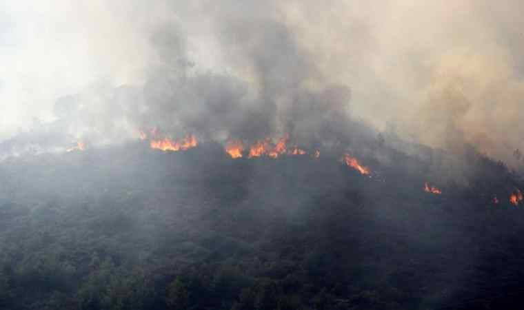 Mersin'de orman yangını çıktı