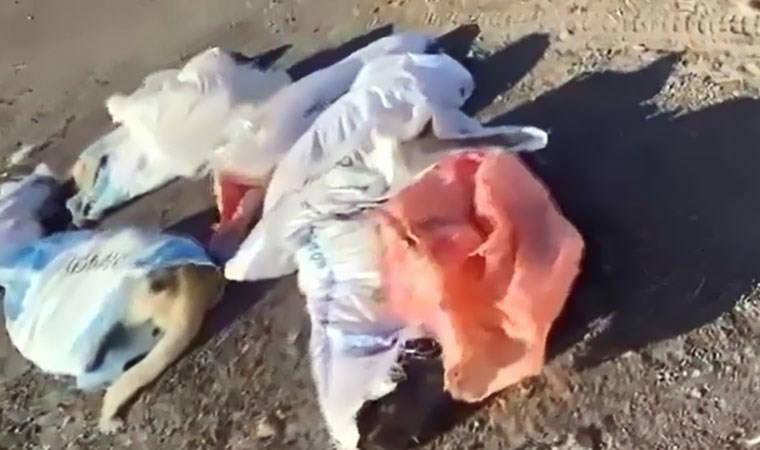 Belediye başkanı suç duyurusunda bulundu