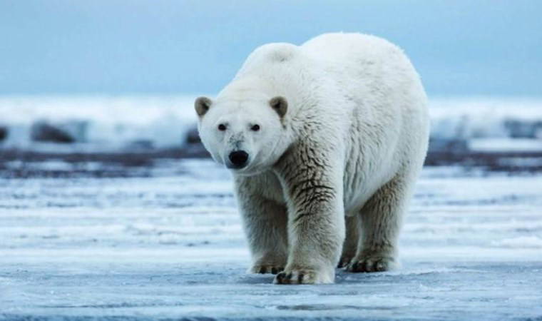 Bir kişi hayatını kaybetti...