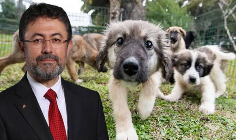 Belediyeleri hedef aldı