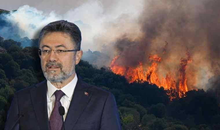 Çanakkale'deki orman yangını kontrol altında