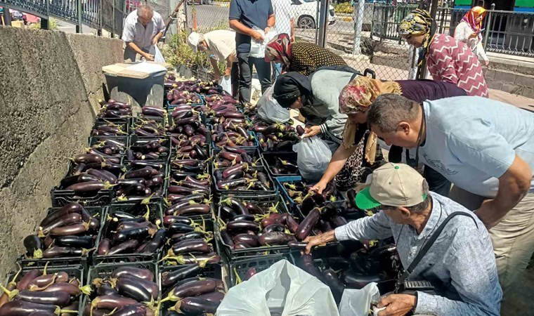 25 dönüm araziden aldığı mahsulün 5 tonunu bedava dağıttı...
