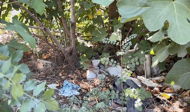 İstanbul'da ağaçlık alanda erkek cesedi bulundu