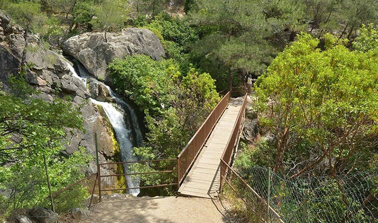 Kazdağları'na giriş yasaklandı