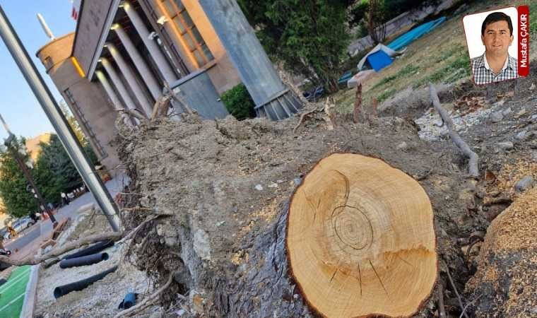 'AKP'nin sözde çevreci yaklaşımı budur!'