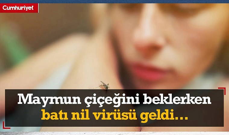 Maymun çiçeğini beklerken batı nil virüsü geldi... Uzmanından korkutan uyarı!