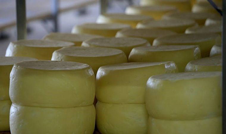 Geleneksel lezzeti kendi mutfağınızda deneyin: Ev yapımı kaşar peyniri