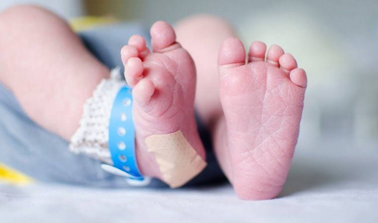 Bakanlık harekete geçti...