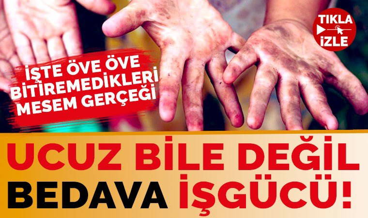 MEB'in hayata geçirdiği MESEM sistemi nasıl uygulanacak? Eğitimci Aytekin'den 'ucuz işgücü' tepkisi