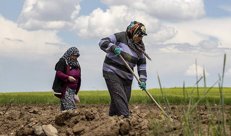 'Çiftçinin arazi ihtiyacından çok, girdi maliyetlerinin azaltılmasına ihtiyacı var'