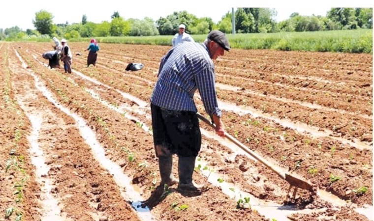 10 kuruş, 20 kuruş...