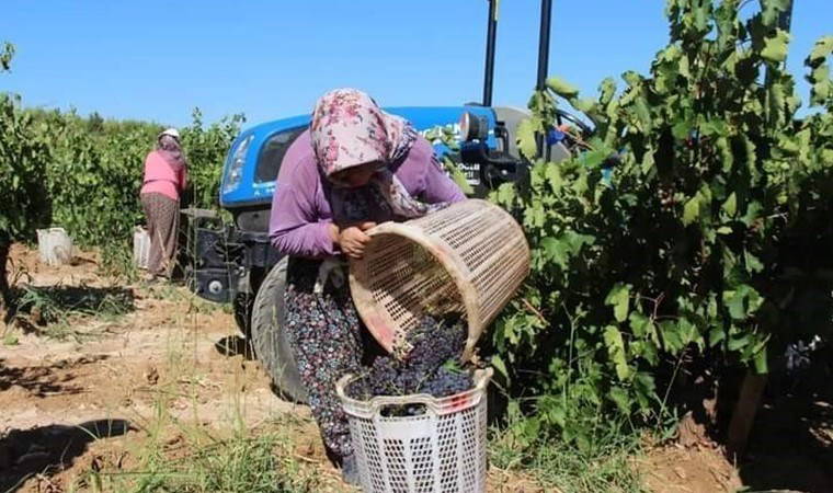 Tarım sürdürülemez halde