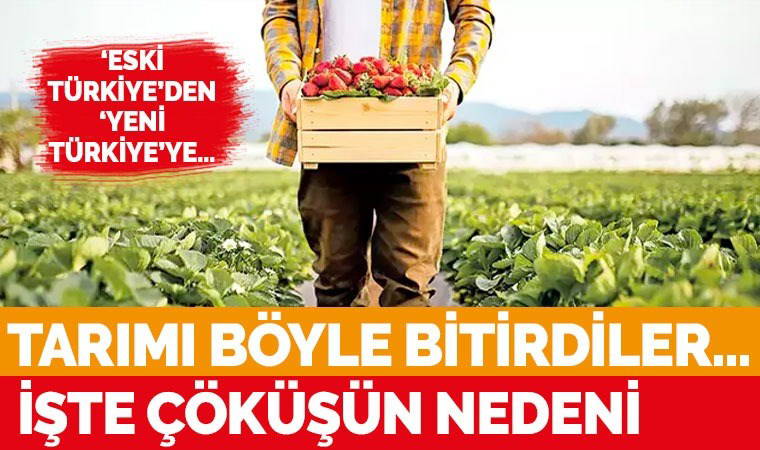 Tarım nasıl çöktü: GSYH’deki payı 1980: Yüzde 26.1; 2002: Yüzde 10.2, 2023: Yüzde 6.2