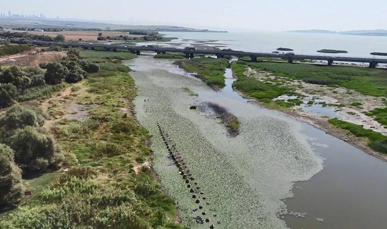 Büyükçekmece Baraj Gölü'nde tedirgin eden görüntü: Su seviyesi düştü, Tarihi Çakmak Hattı ortaya çıktı