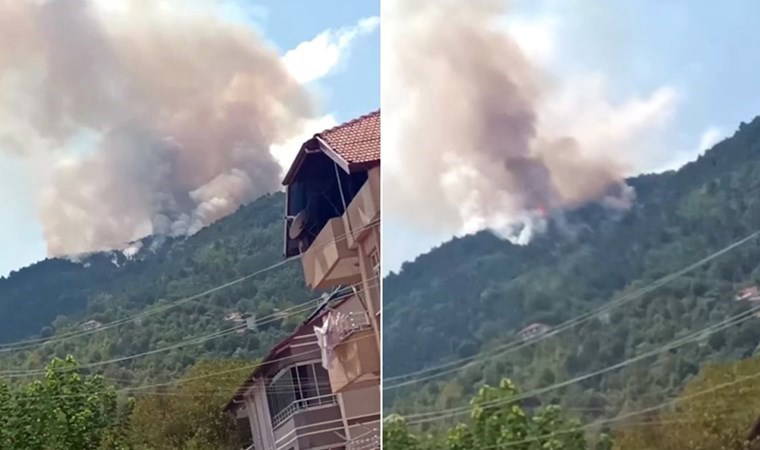 Zonguldak'ta orman yangını!