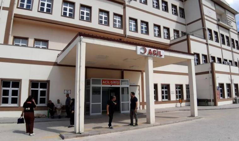 Ormanda görev yapan personele arılar saldırdı: Hastanelik oldular