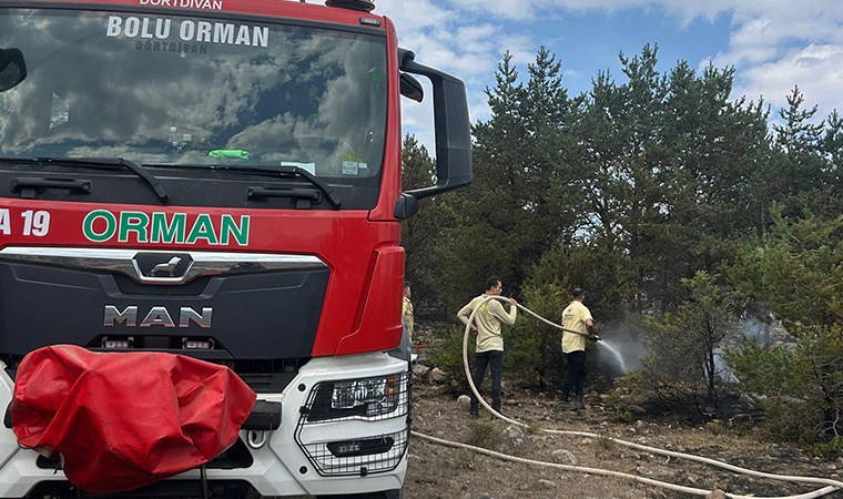 Bolu'da orman yangını: 3 saatte kontrol altına alındı