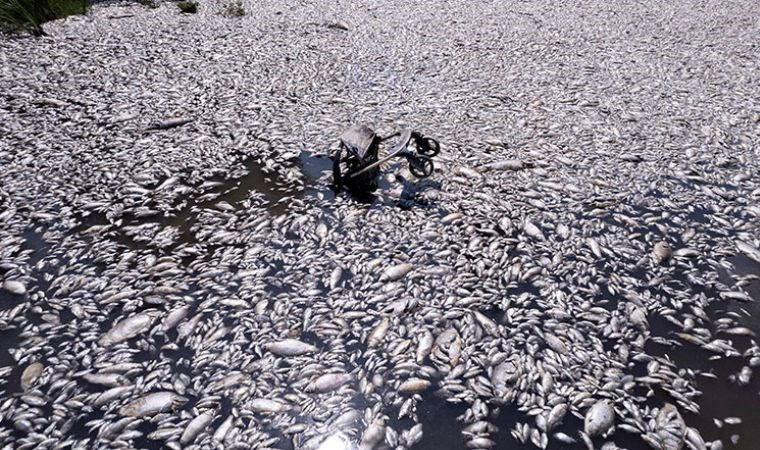 O ülkede olağanüstü hal ilan edildi!