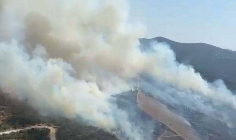 Manisa'da orman yangını (04 Ağustos 2024)