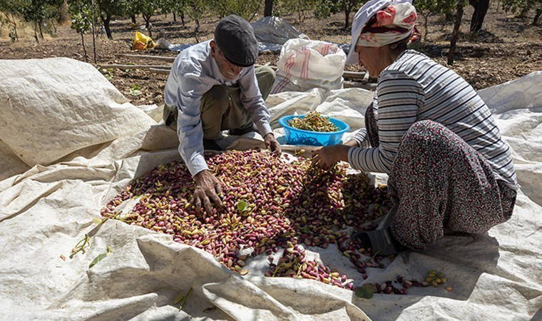Üreticiler yollara döküldü, destek istedi!