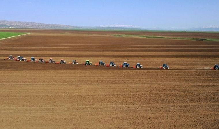 İlk yerli şeker pancarı tohumlarının hasadı başladı