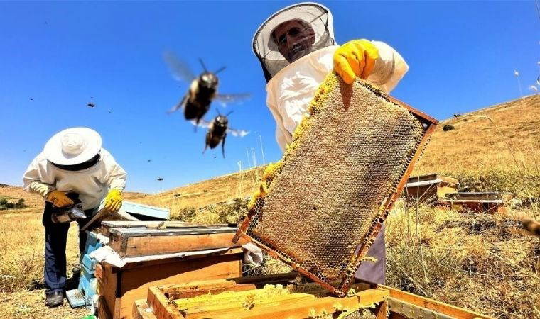 Bal üreticileri tedirgin