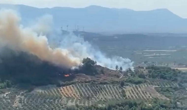Manisa'da orman yangını! (06 Ağustos 2024)