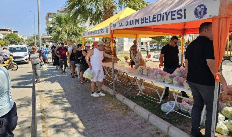 Belediye tarlalarında üretilen sebzeler ücretsiz dağıtıldı