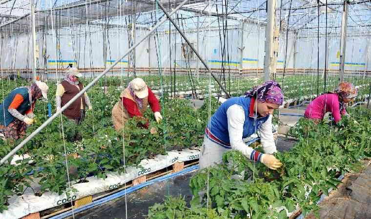 Serada koşullar ağırlaşıyor