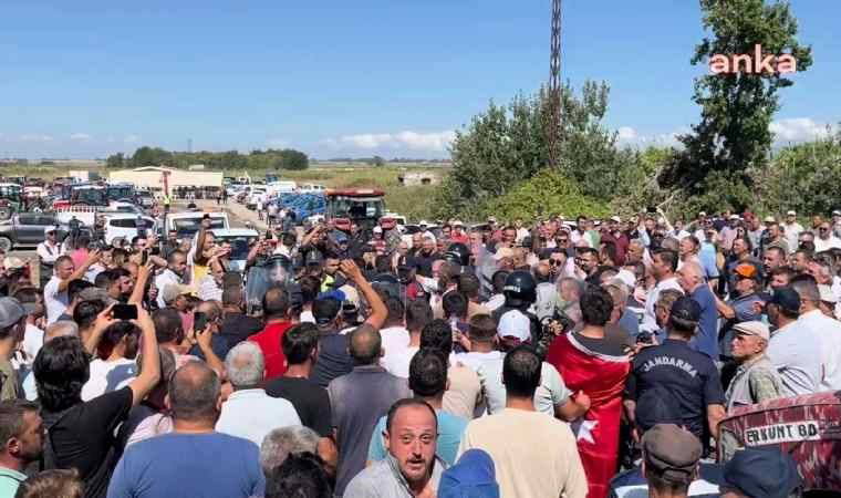 Domates üreticileri eylemde: Üreticiler 'hükümet istifa' sloganları attı