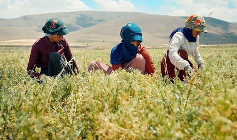 Migros, Kayseri Valiliği ve Kayseri Şeker'den ortak proje
