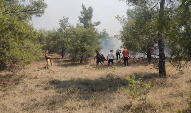 Denizli’de orman yangını! (09 Ağustos 2024)