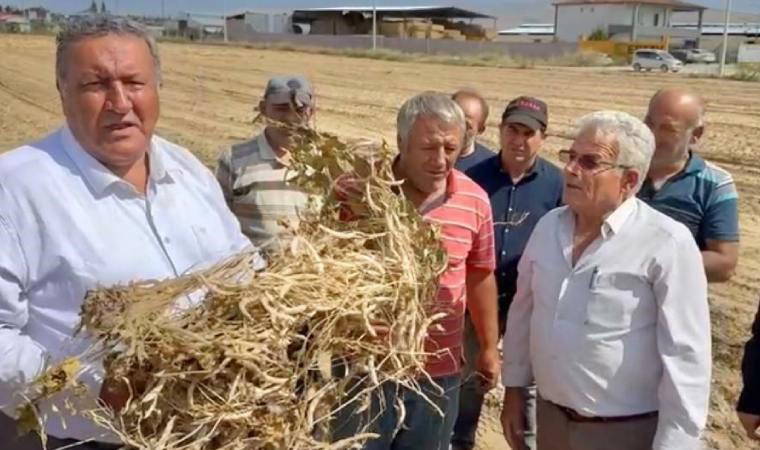 Fiyatlar tarlada düştü, markette katlandı!